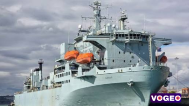 RFA Argus
