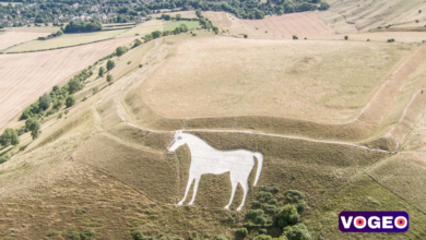 Westbury White